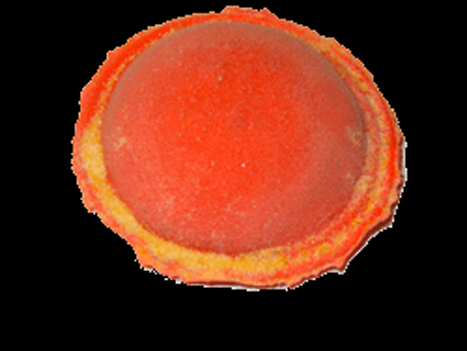 Pesto_Ravioli__4d0a9c1daf9ea