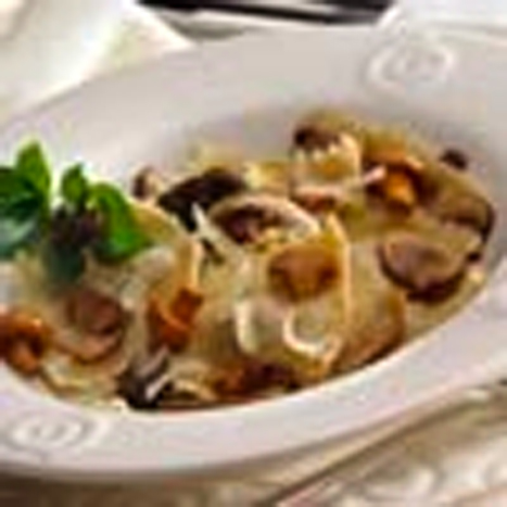 Portabella_Mushr_4d0a96d6cafce Portabella_Mushr_4d0a96d6cafce