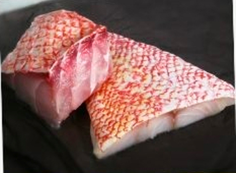 Red_Snapper_4d0a1da382540